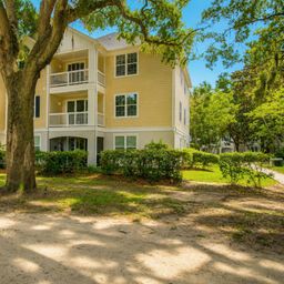 60 Fenwick Hall Allee Alley 217