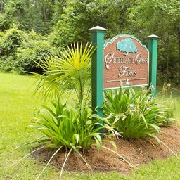 6370 Shilelagh Oaks Parkway