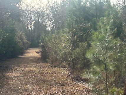1 Old Jacksonboro Road