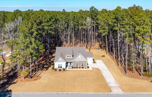 Homes in Carolina Bay, Ridgeville