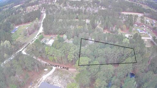 Tbd Cowart Lane