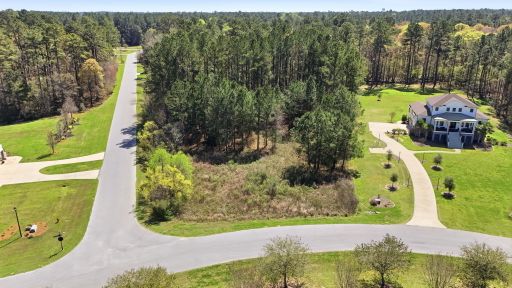 1313 Wood Sorrel Drive