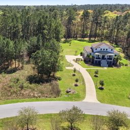 1313 Wood Sorrel Drive