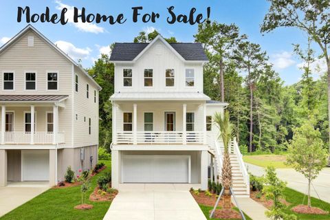 3025 Robeson Trace pending home in Indigo Grove, Johns Island, SC
