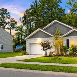 335 Spruce Ivy Street
