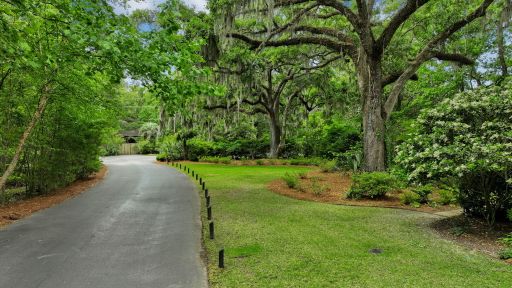 619 Beaten Path