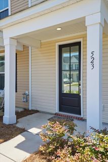 523 Green Fern Drive