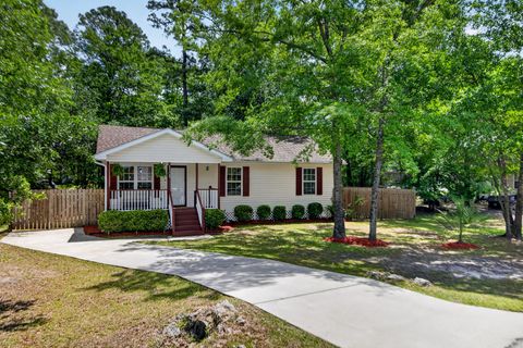 Homes in Brownswood Place, Johns Island
