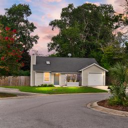 1295 Lake Mallard Boulevard