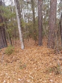 Lot 205 Prices Bridge Lane