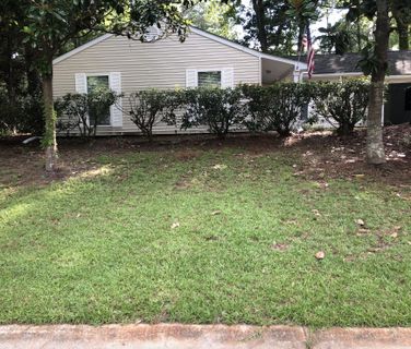 Homes in Wando East, Mount Pleasant
