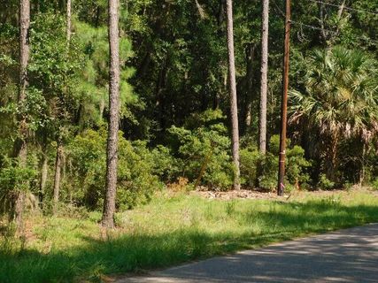 8662 Palmetto Road