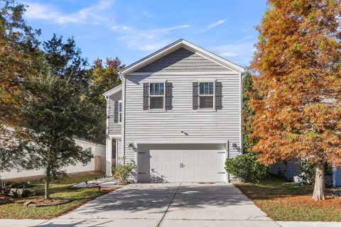 9817 Seed Street