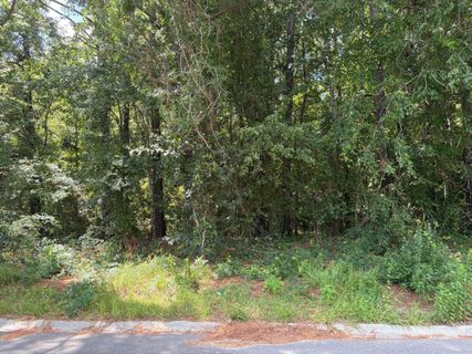 310 E Poplar Branch Drive