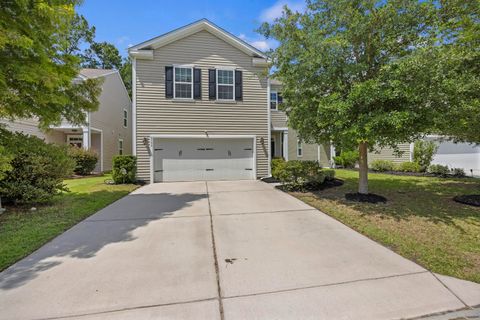 9798 Seed Street