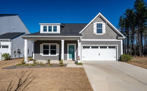 1033 Marsh Harrier active home in Homecoming, Ravenel, SC