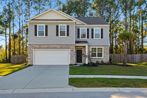 432 Blue Elderberry