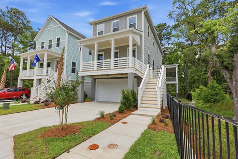 Homes in Indigo Grove, Johns Island