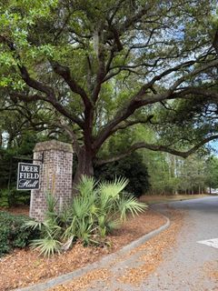 5040 Wapiti Way active home in Deer Field Hall, Hollywood, SC