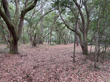 1470 Marsh Bluff Court