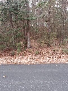 Lot 211 Prices Bridge Lane