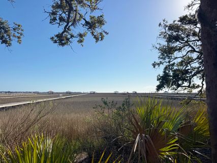 0 Palmetto Road F