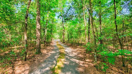 328 Sandy Springs Circle