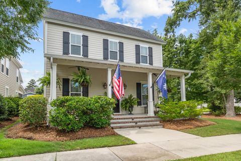 251 Ribbon Road