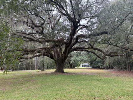 Lot 10 Plantation Lane