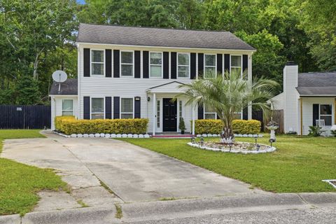 113 Broken Trail