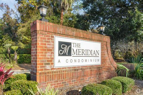 Homes in The Meridian, Mount Pleasant