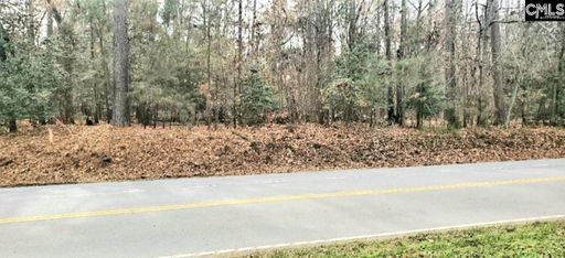 1679 Amicks Ferry Road active home in Timberlake, Chapin, SC