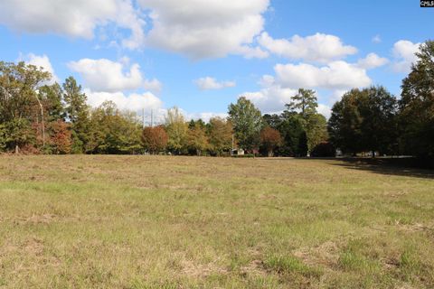 Homes in Milford Park, Irmo