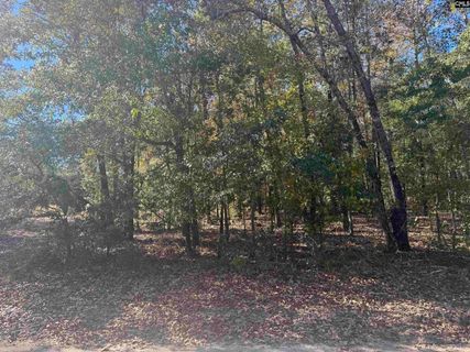 Tbd Possum Trail