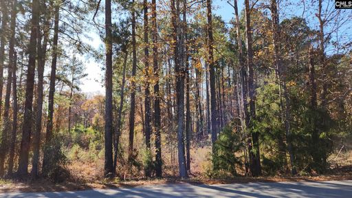 2221 Old Cherokee Road Lot #2 active home in Avery Pines, Lexington, SC