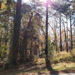 2247 Old Cherokee Road Lot #6
