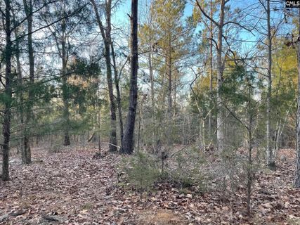 A home in CREEK VIEW ACRES, Pomaria