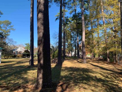Homes in Rosewood, Columbia
