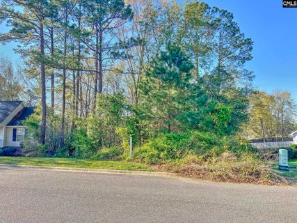 Homes in Honeytree Glenn, Columbia