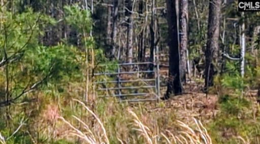 Off Evergreen Road