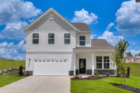 338 Chapin Place Way pending home in Chapin Place, Chapin, SC