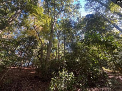 0 Roper Mountain Court