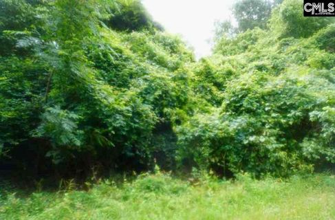 Fringetree Road Road