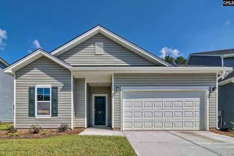 815 Daniel Lake Court