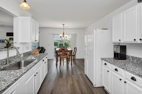 520 Blue Lake Drive