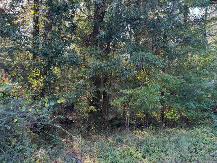 000 Quattlebaum Avenue