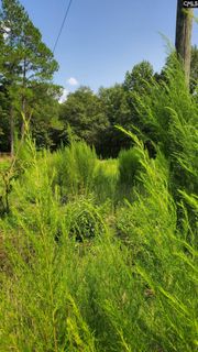 Ardis Road