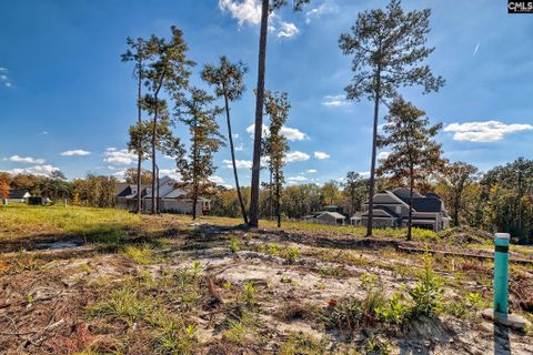 183 Coopers Nursery Rd active home in Woodcreek Farms, Elgin, SC