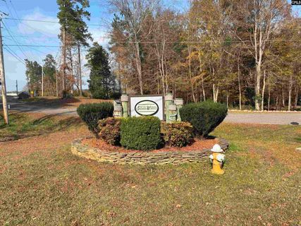 266 Saluda Waters Point active home in Saluda Waters Point, Leesville, SC