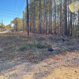 1236 Crane Church Road